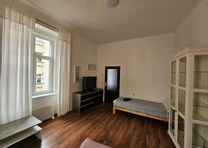 Apartment Zizkov 2c *